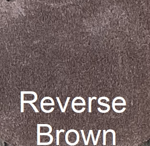 Western_Reverse_Brown
