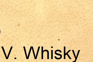 Vintage_Whisky