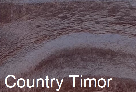 Western_Country_Timor