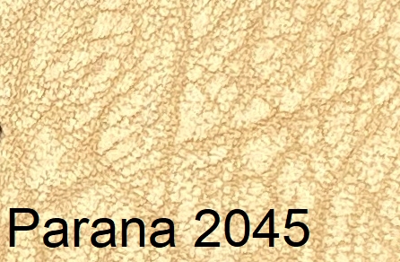 Parana2045