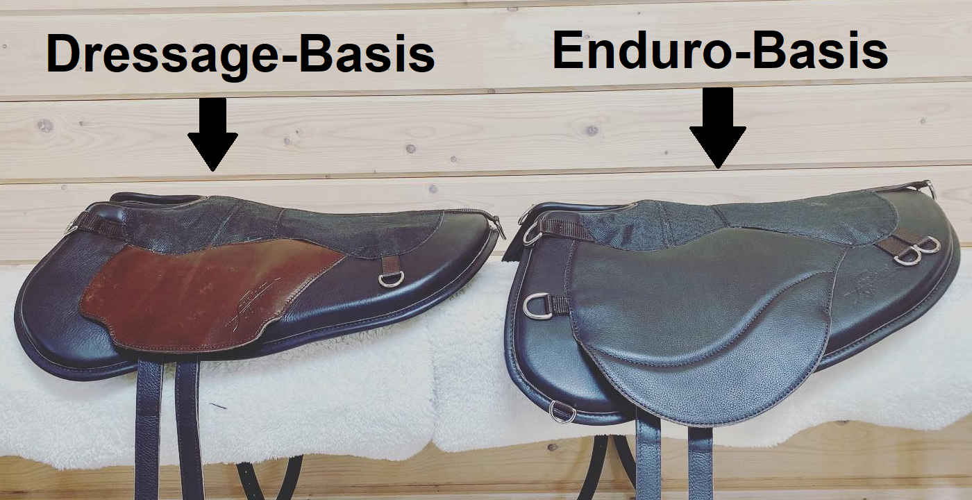 Dressage-vs-Enduro-Basis